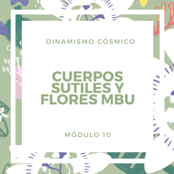 Flores y Cuerpos Sutiles